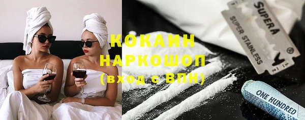 сатива Елабуга