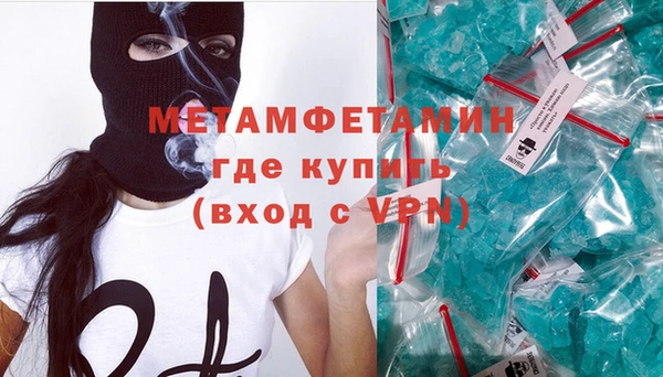 мяу мяу мука Елизово