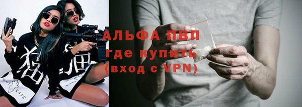 меф Ельня