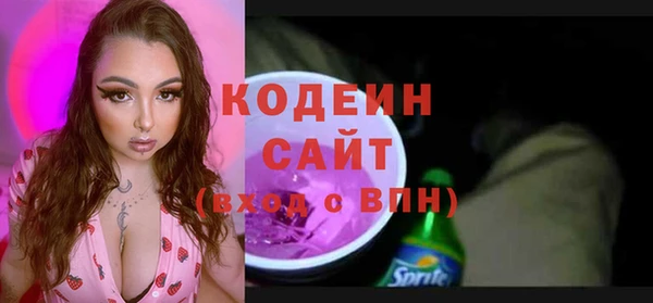 меф Ельня