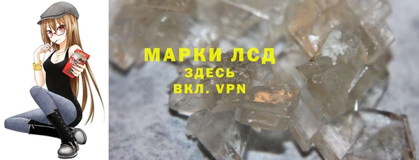 сатива Елабуга