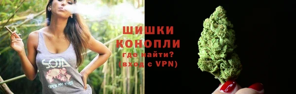 сатива Елабуга