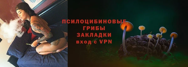 меф Ельня