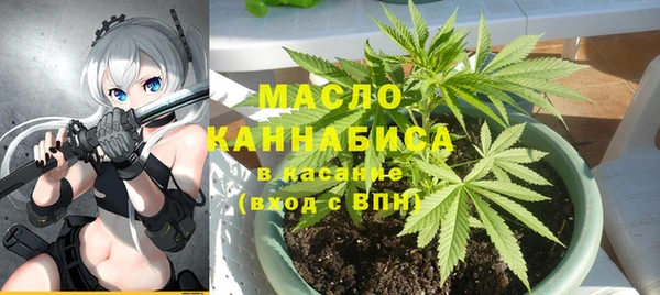 меф Ельня