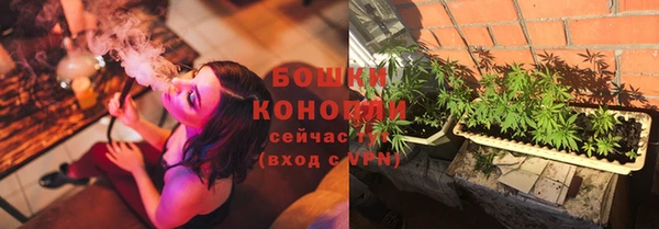 сатива Елабуга