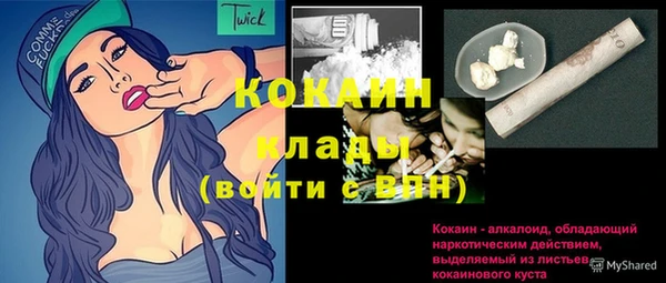 сатива Елабуга