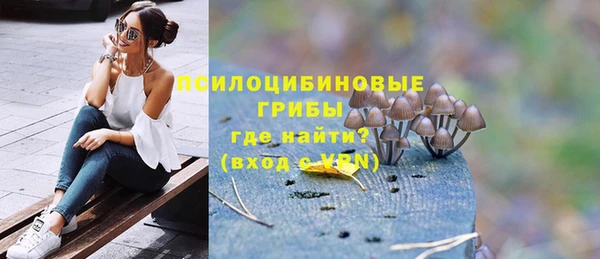 меф Ельня