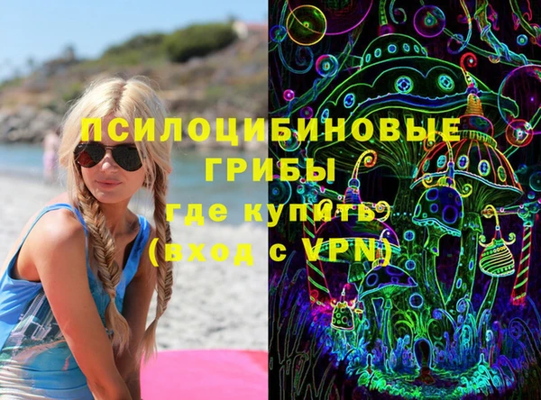 меф Ельня