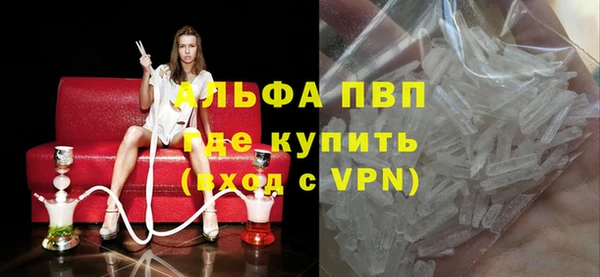 сатива Елабуга