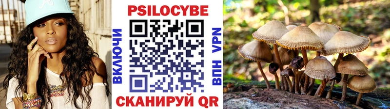 Галлюциногенные грибы Cubensis  цена наркотик  Керчь 